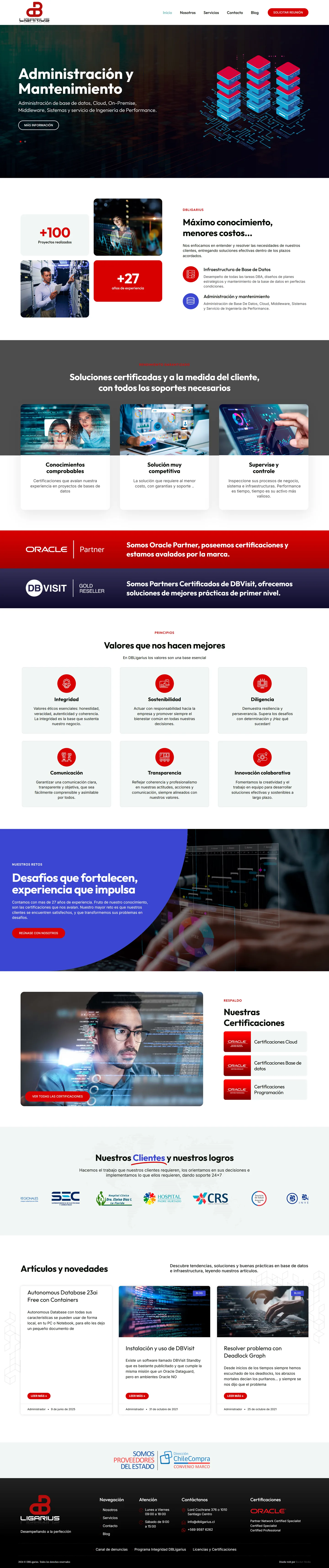 Diseño web DB Ligarius